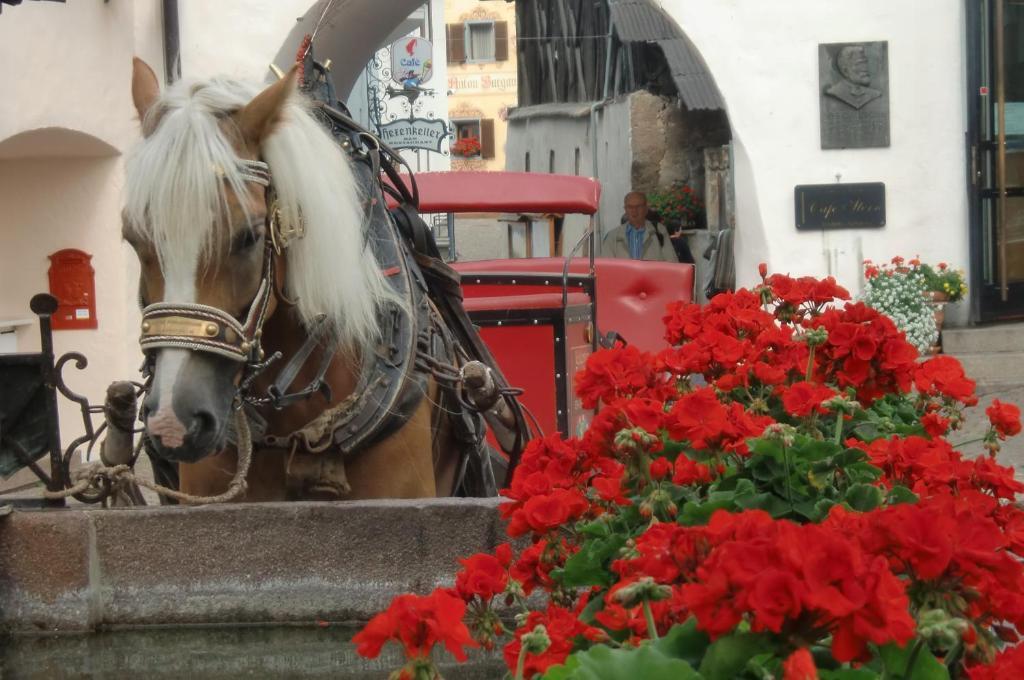 Hotel Viktoria Castelrotto Εξωτερικό φωτογραφία